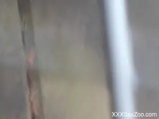 Horny hotness from a kinky lady that cums too