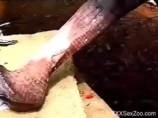 Horse cock is what this hottie needs in her life