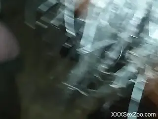 Hot animal pussy getting ruined by his big boner