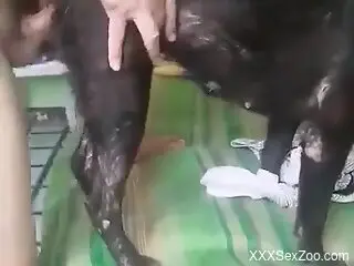 Hot guy makes love to an animal with his hard D