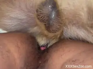 Hot action with a zoophile who fucks in the ass