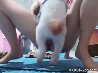 Hot girl petting her pussy to get fucked silly
