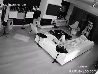 Hot lady showing how she usually seduces sexy dogs