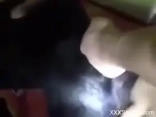 Home alone man films himself dep fucking the dog's ass