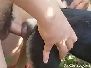 Man deep fucks furry dog in the pussy and ass in outdoor scenes