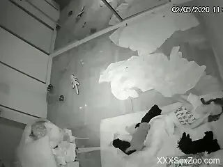 Amateur gets secretly filmed when trying sex with a dog