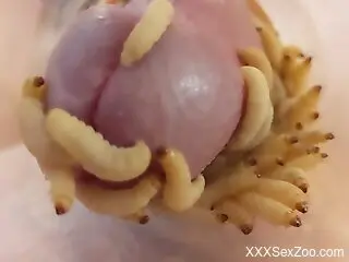 Man jerks off with worms covering his erect penis