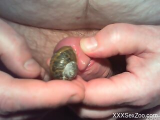 Naked old guy loves snails on his penis during jerk off