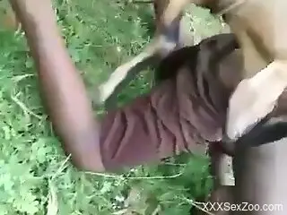 Nude man fucked in the ass by his dog in outdoor scenes