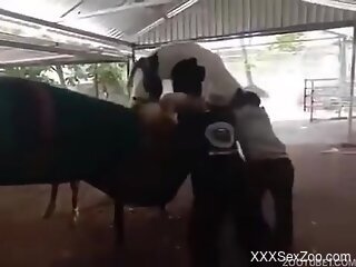Horse fucks its female and the guy filming gets aroused