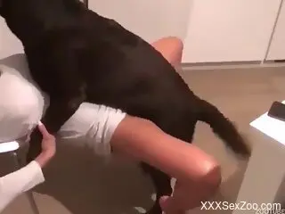 Sexy female enjoys tasty dog dick down her cunt in home XXX