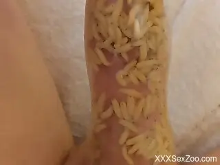 Man inserts dick in a jar filled with worms
