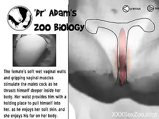 Animal sex with human anatomy  in a dirty zoo cam play