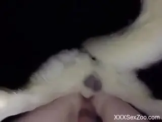 Furry dog humps naked man in the ass and comes inside him