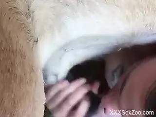 Fine woman grabs the animal's penis and starts to suck it