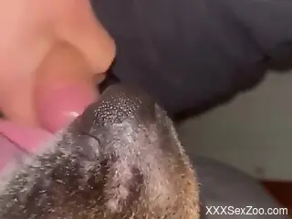 Amateur man lets the curious dog licks his penis