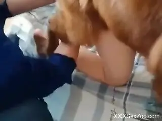 Woman and her furry dog share remarkable zoo porn play