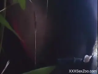 Dog fucks naked woman in the ass and pussy while on cam