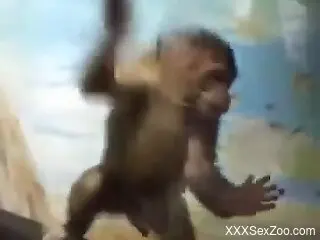 Amateur man feels sexually aroused seeing the monkey dick