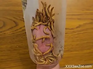 Man pushes dick in worms to better stimulate his dirty mind