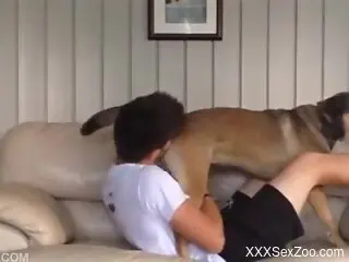 Gay lad involves dog in sexual kinks during home alone XXX