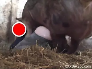 Pig ass fucks naked woman and comes on her fine ass