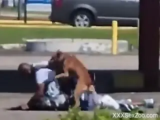 Amateur black man filmed in public trying sex with a dog