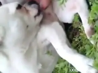 Naked woman masturbates and tries sex with the dog in outdoor ...