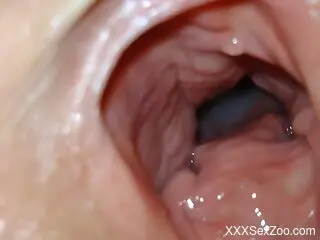 Sexy woman feels naughty trying dirty zoophilia perversions