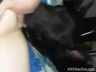 Dog licks woman's shaved pussy and makes her come like never b...