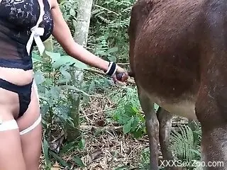 Masked beauty fools around with the donkey's dick in outdoor