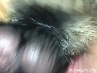 Fine woman lands furry dog's dick from behind in perfect XXX