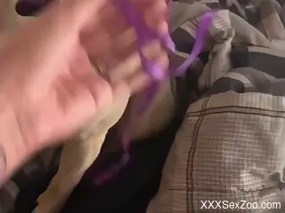 Sexy female fools around with her dog in special home scenes