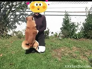 Backyard zoo perversions between a woman and her dog