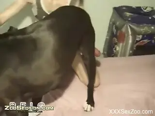 Amateur sluts throat the dog's dick ahead of sharing the dick ...