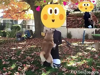 Clothed man with dirty desires gets intimate with the furry dog