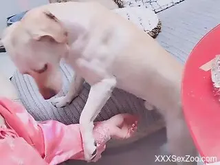 Steamy woman plays by herself and lets the dog lick her