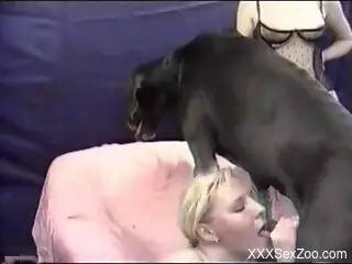 Fine blonde sucks the dog's cock wet as fuck in amazing scenes