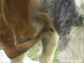 Nude women try the dog's furry cock for intimate outdoor sex