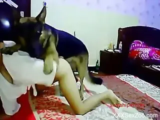 Steamy Asian babe shoves the dog's dick down the muff