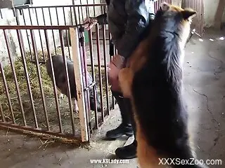 Insolent nude woman tries animal dicks in her fresh cunt