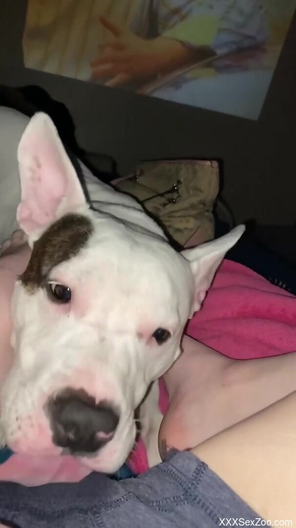 Horny woman loves how her dog licks her clit during a cam show