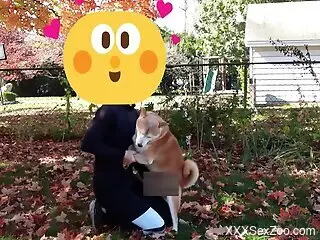 Clothed female plays in sexual outdoor kinks with her dog