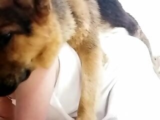 Sexy female feels dog's penis from behind in amazing kinks