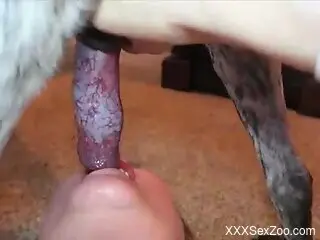 MILF tries tasty dog dick in extra sloppy manners