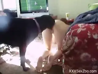 Dog fucks naked woman in the ass and comes inside her