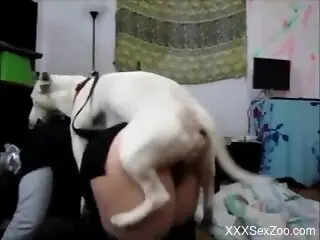 Big ass woman tries doggy style hard sex in homemade scenes