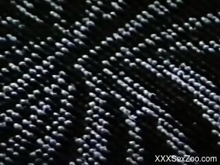 Amateur women in vintage zoophilia scenes when they fuck big time