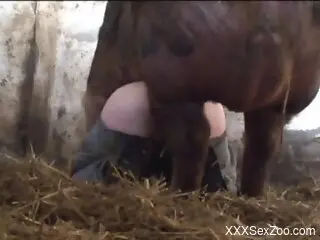 Pig fucks naked woman in the ass and pussy during a cam show