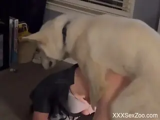 Fine slut shares homemade zoo kinks in a superb mix of positions